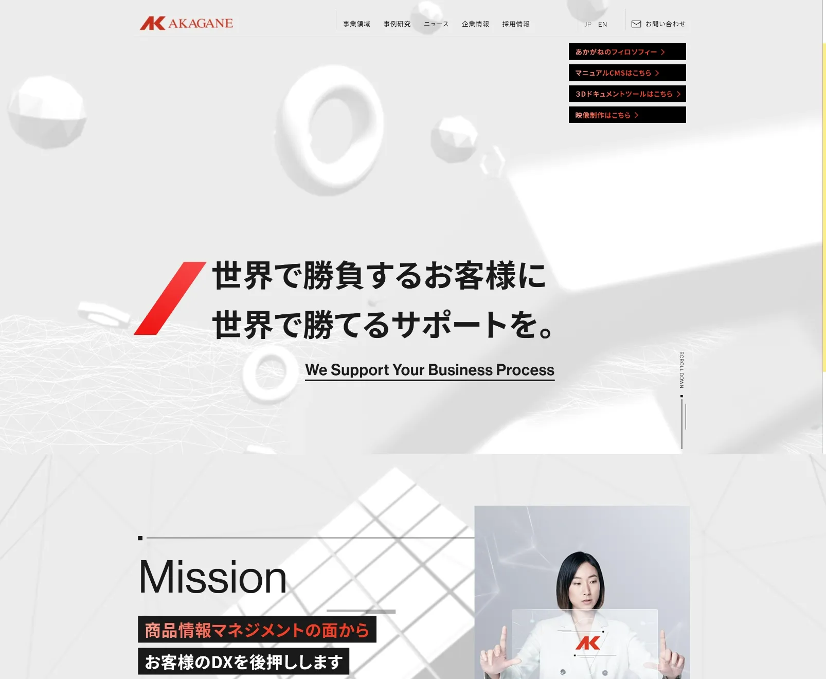 実績紹介